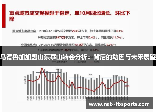 马德鲁加加盟山东泰山转会分析：背后的动因与未来展望