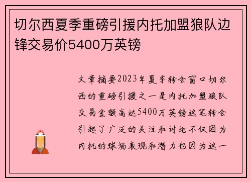 切尔西夏季重磅引援内托加盟狼队边锋交易价5400万英镑